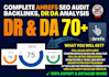do complete ahrefs website seo audit, backlinks, domain rating dr da analysis