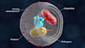 create 3d medical animation moa pharmaceutical biotech molecular explainer video