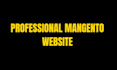 create a professional magento 2 ecommerce website