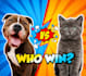 ugc video ads for pet products and brands with cat or dog