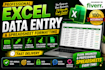 excel data entry, spreadsheet formatting, formulas and data cleanup