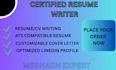 provide professional resume, CV, cover letter writing and linkedin services