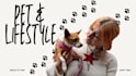 make authentic lifestyle ugc ads