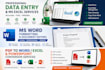 provide professional microsoft office and data entry