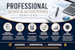 review, audit, and analyze your financial statements