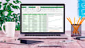 haré entrada de datos profesional y limpieza en excel