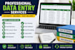 do accurate data entry, PDF to excel, copy paste, web research