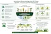 create a publication ready graphical abstract for scientific research