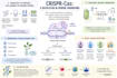 design professional graphical abstracts for scientific publications