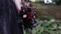 make wedding video highlight
