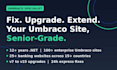 fix, upgrade, or extend your umbraco website as a senior expert