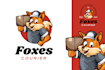 create a professional shipping and courier logo