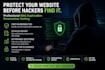 perform professional web application penetration testing