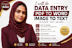 do accurate data entry, PDF to word, image to text