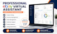 be your ebay virtual assistant for complete store management
