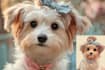illustrate a pet portrait with disney style