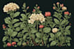 create a realistic botanical drawing