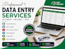 do accurate data entry, copy paste, web research and excel data entry