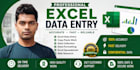accurate excel  data entry and spreadsheet management