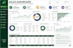 professional excel dashboards, charts and reports