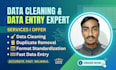 do excel data entry and data cleaning