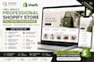 build a high professional shopify store for your business