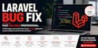 fix bugs in your laravel application
