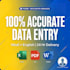 do fast and accurate excel data entry in 24 hours