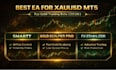 gold trading bot, gold ea , ea robot , forex trading bot, scalping bot