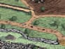 custom illustrated map for your business or project