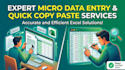 do fast micro data entry and copy paste work in 2 hours
