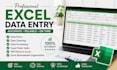 do professional microsoft excel data entry