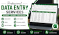 do accurate data entry, copy paste, excel and google sheets