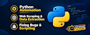 write python script for automation, web scraping, and bug fixing