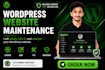 update wordpress website, update website content and website maintenance
