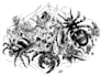 create a hebrew tattoo design template