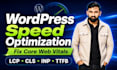 do wordpress speed optimization and fix core web vitals