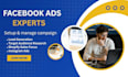 setup facebook ads campaign for shopify store