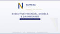 build dynamic financial models and excel dashboards