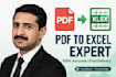 convert pdf to excel, scanned pdf to excel and data entry