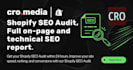review your shopify store website, expert shopify audit