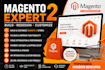 create a professional magento 2 ecommerce website