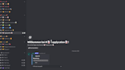 set up a professional discord server