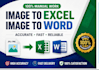 convert image to excel, word or editable text manually