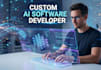 develop custom ai software, web application