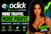 create and optimize exoclick and trafficjunky ad campaigns for maximum ROI