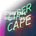 make professional cyber cafe website in 24 hours