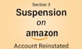 reinstate your deactivated amazon section 3 suspension with expert appeal poa