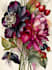 design elegant botanical illustrations for your prints