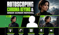 do vfx rotoscoping, chroma keying and green screen removal